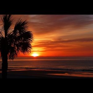 Meet your Posher, Tim